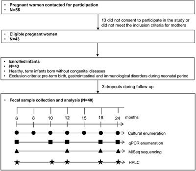 Stepwise establishment of functional microbial groups in the infant gut between 6 months and 2 years: A prospective cohort study